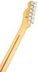 Fender American Professional II Telecaster MN 3TS