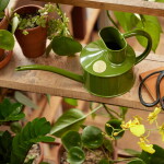 HAWS Konvička na zalévání Fazeley Flow Fern Green – 700 ml, zelená barva, kov