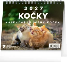 NOTIQUE Kočky – se jmény koček 2027 / Stolní kalendář / 16,5 × 13 cm