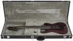 ESP LTD SC-608 BRSP