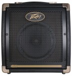 Peavey Ecoustic E20