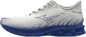 Mizuno Wave Skyrise 6 J1GC250954