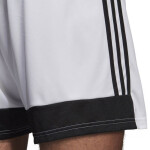 Šortky adidas Tastigo 19 DP3247