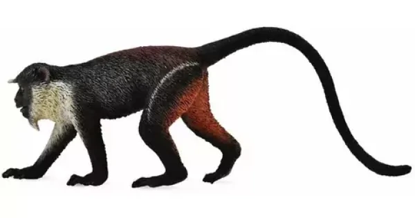 Collecta Kočkodan Dianin