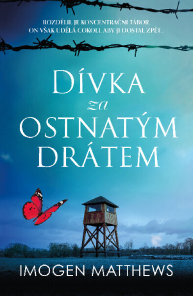 Dívka za ostnatým drátem - Imogen Matthews - e-kniha