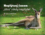 Magnet na lednici "Neplýtvej časem" - Sri Chinmoy