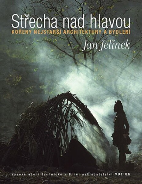 Střecha nad hlavou - Jan Jelínek