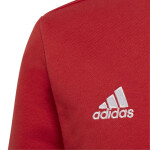 Dětská mikina Entrada 22 Sweat Jr H57473 Adidas