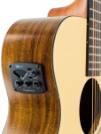 Tanglewood TM4CE