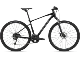 Giant Roam 2 Disc 2023