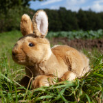 Plyšový králík hnědý ležící 23 cm Eco-Friendly