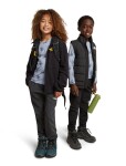 Dětské merino spodky ICEBREAKER Kids Merino 200 Oasis Leggings Bear Tour AOP, Zinc Blue/Aop velikost: 12