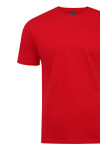 Pánské triko model 2635253 - IMAKO Barva: GREY 89, Velikost: 2XL