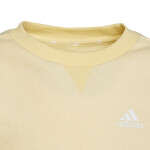 Mikina adidas Essentials 3-Stripes Crewneck Jr HP1273