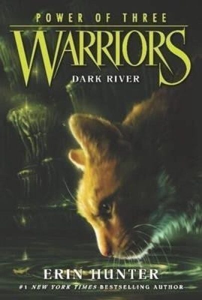 Warriors Power of Three 2: Dark River - Erin Hunter