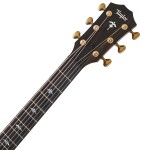Taylor Builders Edition 614ce WHB
