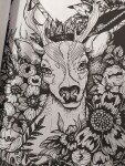 Cool Art, antistresové omalovánky, Mindfully Delicious Coloring