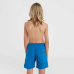 Juniorské plavecké šortky O'Neill Vert 14" 92800614215 164