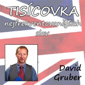 Tisícovka nejfrekventovanějších slov - David Gruber - audiokniha