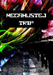 Megahustej trip - Martin Koláček
