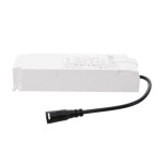 BIG WHITE (SLV) Můstkový LED driver 42 W, 500 mA pro NUMINOS®, včetně radiofrekvenčního rozhraní pro modul RF, DALI 1006459