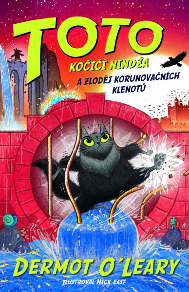 Toto – Kočičí nindža a zloděj klenotů - Dermot O'Leary
