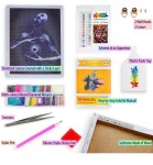 Antistresové omalovánky TSvetnoy TSvetnoy, LG243e, Diamond painting - diamantové malování, 40 x 50 cm, Galaxie