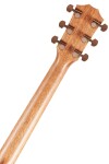 Taylor 724ce KOA