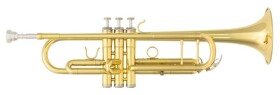 B&S 3137-L Challenger II