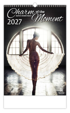 Kalendář nástěnný 2027 - Charm of the Moment
