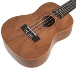 Tanglewood TWT 3