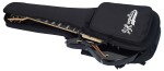 D'Angelico Offset Semi-Hollow Black Flake