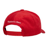 Mitchell & Ness Pánská kšiltovka Detroit Red Wings NHL Arch Stamp Pro Snapback