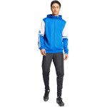 Mikina adidas Squadra 25 Hoody M JD2991 pánské L