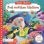 Pod mořskou hladinou