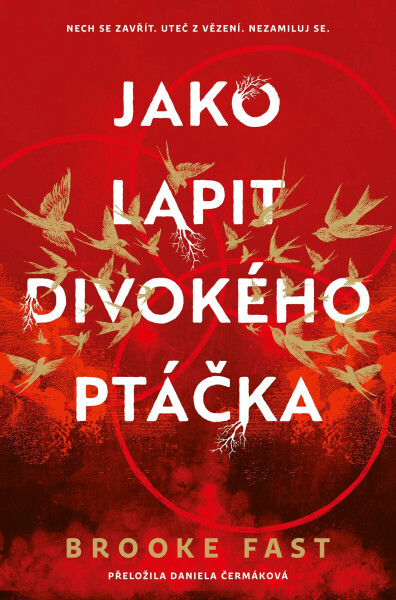 Jako lapit divokého ptáčka - Brooke Fast