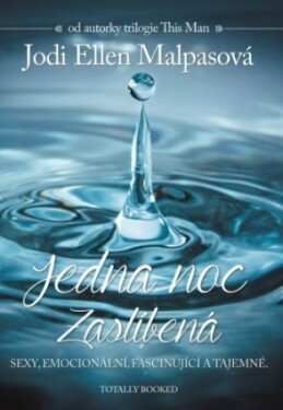 Jedna noc 1: Zaslíbená - Jodi Ellen Malpasová - e-kniha