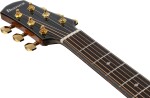 Ibanez AAD381CE NT