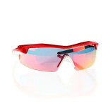 Sluneční brýle Goggle E690-3 UNI