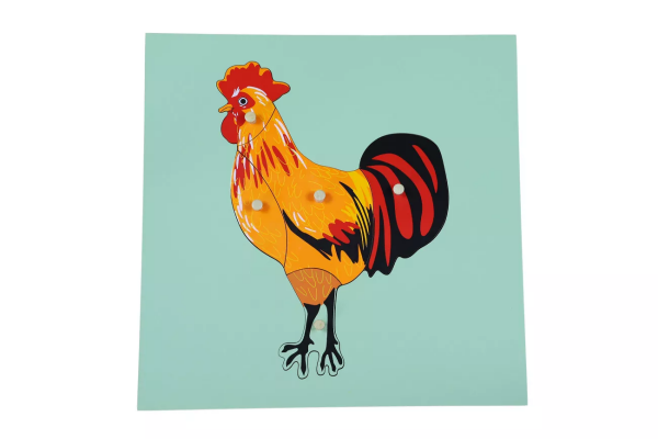 Moyo Montessori Moyo Montessori Puzzle - kohout