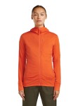 Dámská merino mikina ICEBREAKER Wmns 260 Quantum IV LS Zip Hoodie, Fervid velikost: XS