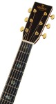 Sigma Guitars DTC-41E