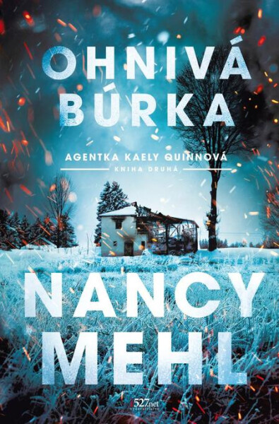 Ohnivá búrka - duplicita - Nancy Mehl