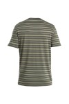 ICEBREAKER Mens Wave SS Tee Stripe, Loden/Lichen/Snow velikost: M