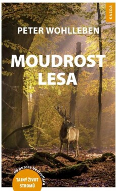 Moudrost lesa