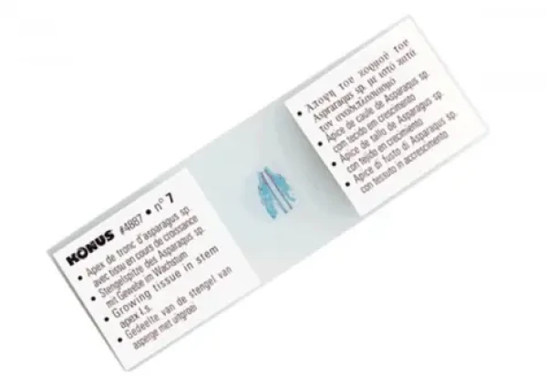 Konus sada mikroskopických vzorků - bezobratlí/hmyz 25ks (4977)