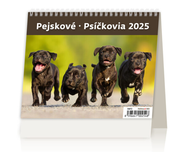 Stolní kalendář 2025 MiniMax Pejskové