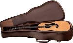 Taylor 117e
