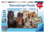 Ravensburger Puzzle - Fotky koní 2 x 24 dílků