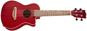 Flight DUC 380 CEQ Coral